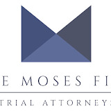 themosesfirm.com
