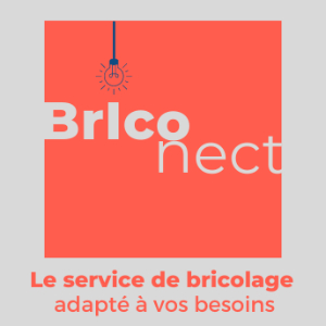 Briconect