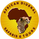 African Diurnal Safaris & Tours
