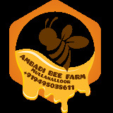 ambadibeefarm.com
