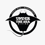 undertheseadivingcr.com