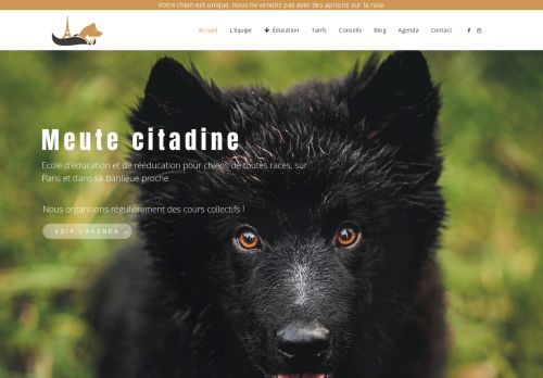Educateur canin Meute citadine