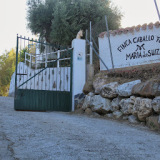 Maria de Suiza SL (andalusische-pferde.ch) Reviews