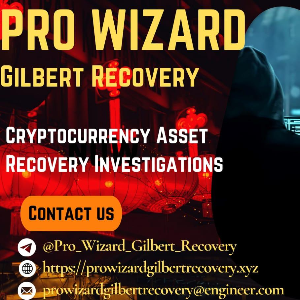 RECLAIM STOLEN FUNDS FROM SCAMMER THROUGH   PRO WIZARD GILBERT RECOVERY