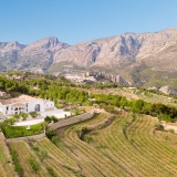 Bodega Masos Guadalest