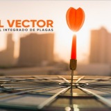 www.killvector.es
