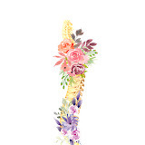 kinesiologue-var.com