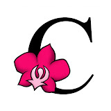 centralfloristandnursery.com