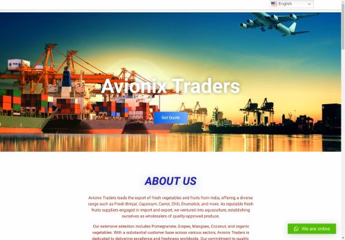 Avionix traders
