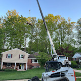 greentreeservicespro.com