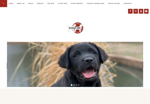 soonerlabs.com