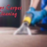 Star Carpet Cleaning Reviews