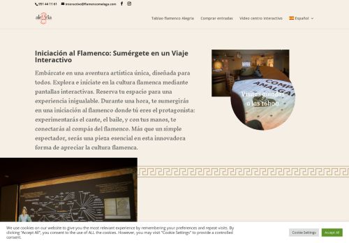 interactivo.flamencomalaga.com