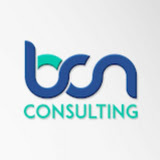 BCN Consulting