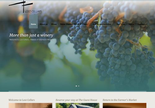 www.lostvino.com