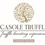 Casole Truffle