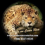 Vacances au Costa Rica