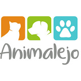 Clínica Veterinária Animalejo Samambaia