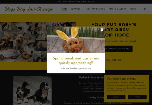 Dogs Day Inn