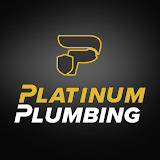 platinumplumbingnow.com