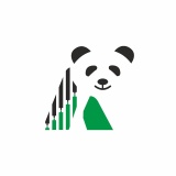 www.algopandas.com