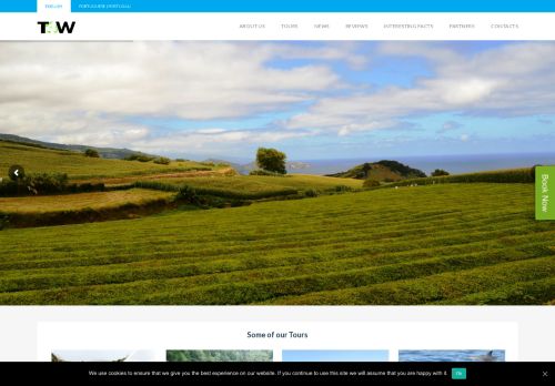 T4W Azores Tours
