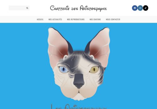 aristosphynx.com