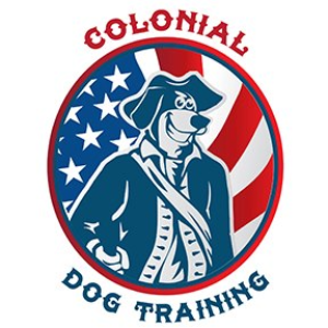 www.colonialdogtraining.com