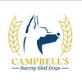 Campbell’s Racing Sled Dogs