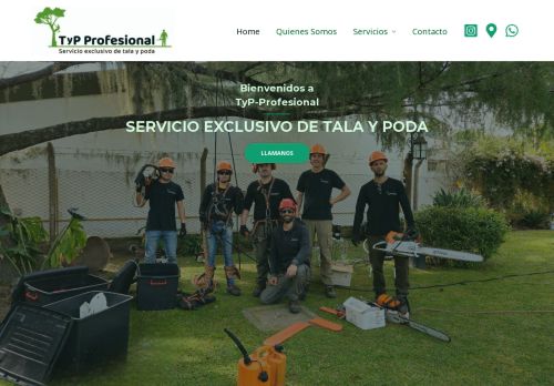 TyP-Profesional - Tala y Poda Profesional de Arboles y Palmeras en Rosario