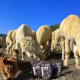 Alpacafert Fertilizzanti di Alpaca
