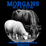 Morgans Meadow