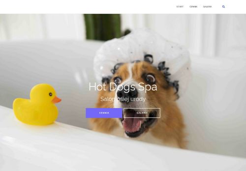 Hot Dogs Spa - Salon Psiej Urody Rogów
