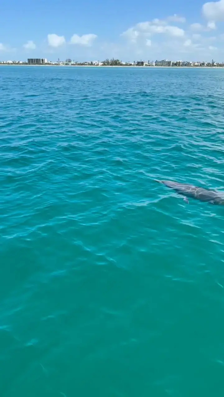 Private Boat Tours #venicefl #nokomisbeach #veniceflorida #boattour #sarasota