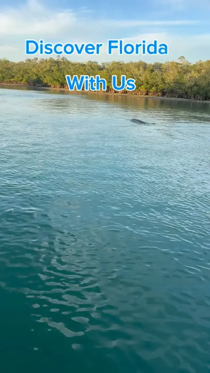 Private Boat Tours #venicefl #nokomisbeach #floridaboating #boattour #sarasota