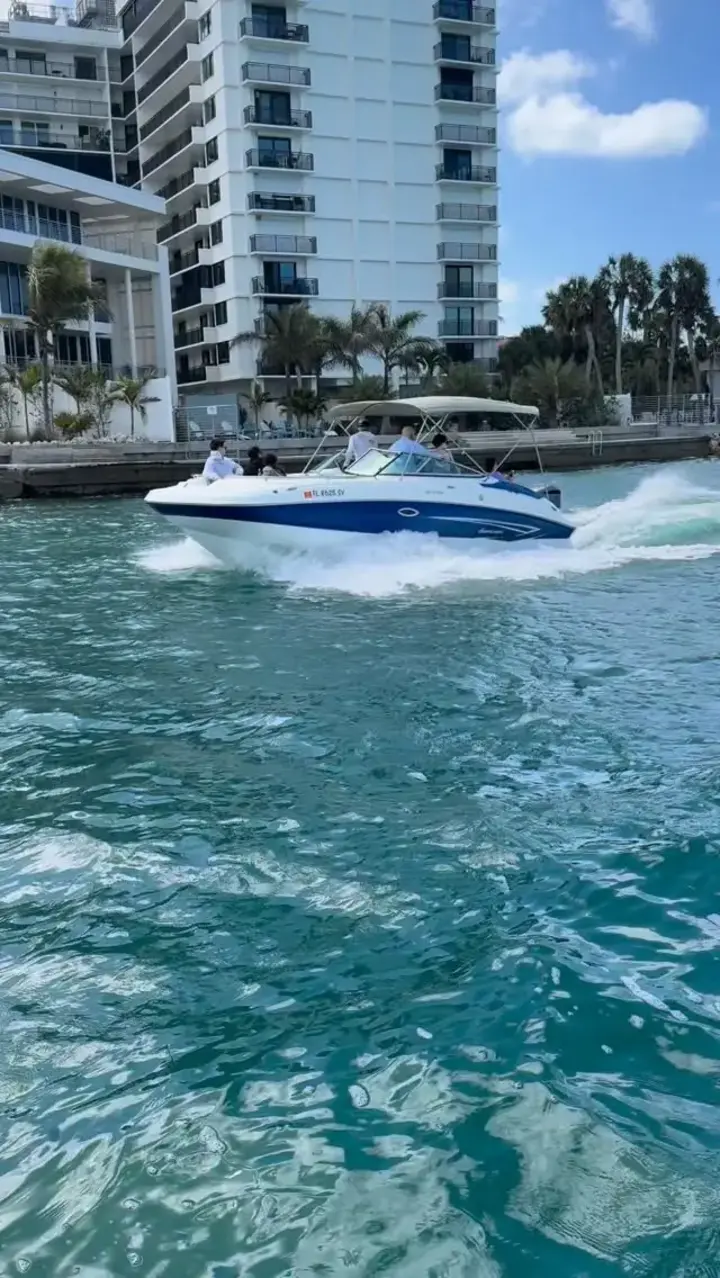 Private Dolphins Tours #VeniceFlorida #VeniceFL #NokomisBeach #FloridaBoating #BoatTour