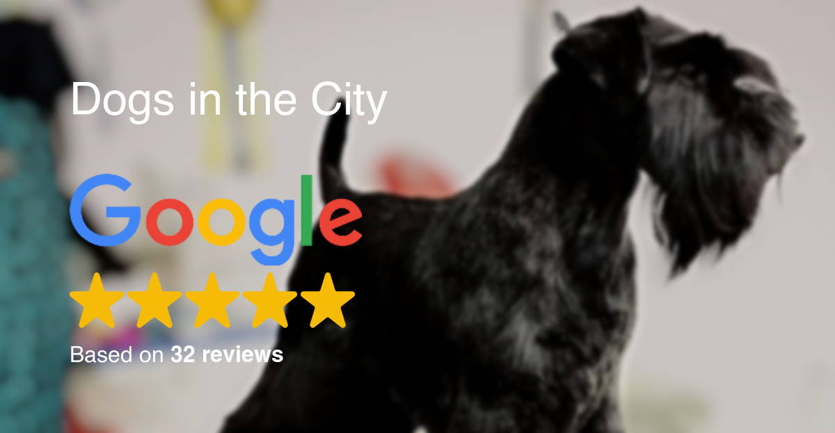 Las mejores valoraciones en Google Reviews